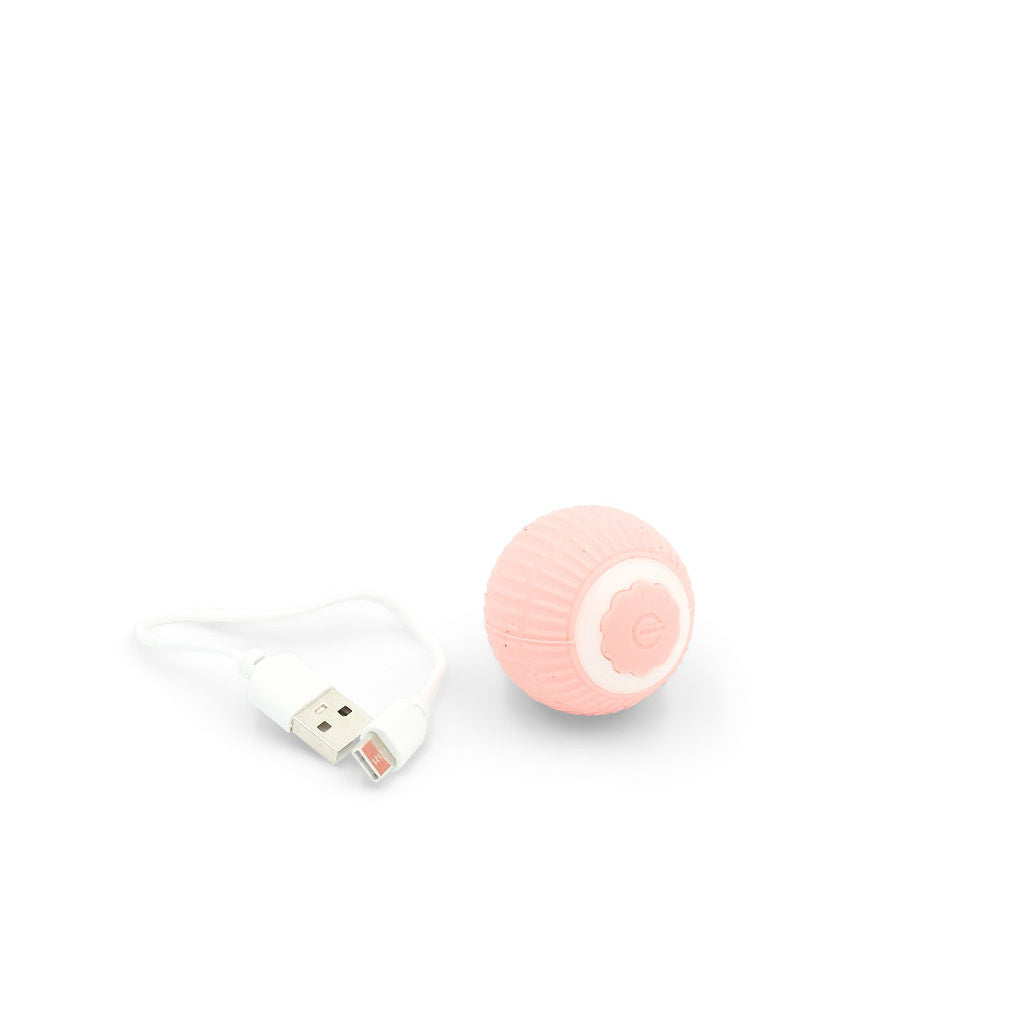 BudgetPaws Soft Petal smart rolling cat ball toy in pink with USB charging cable, photographed on a clean white background.