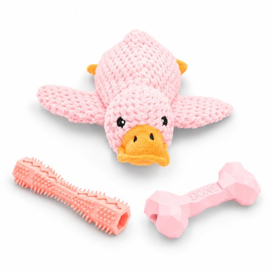 Budget Paws Girls’ Dog Toy Bundle | 3-Pack Plush & Chew Toys