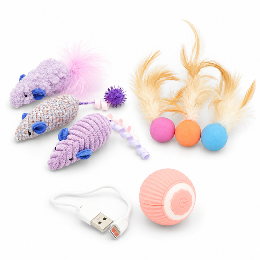 Budget Paws Girls’ Cat Toy Bundle | 3 Sets, 7 Toys with Mice, Feather Balls & Rechargeable Ball
