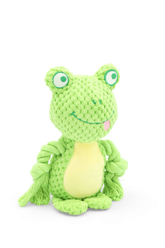 BudgetPaws Mossy squeaky plush rope dog toy in bright green frog plush with durable rope arms, photographed on a white background.