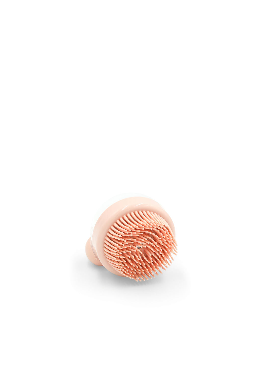 Budget Paws Shampoo Dispensing Dog Bath Brush