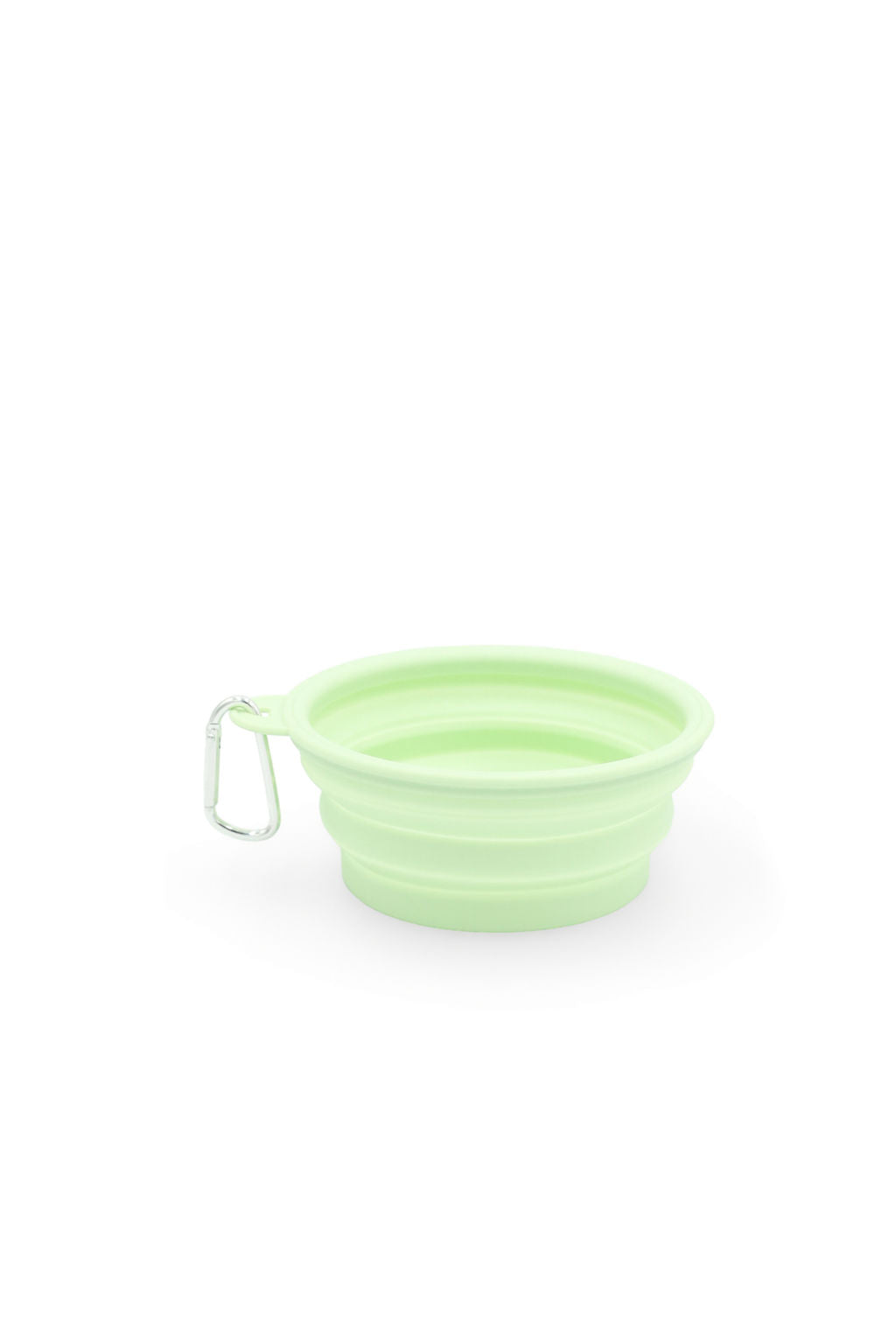 BudgetPaws Collapsible Silicone Travel Bowl (Green)
