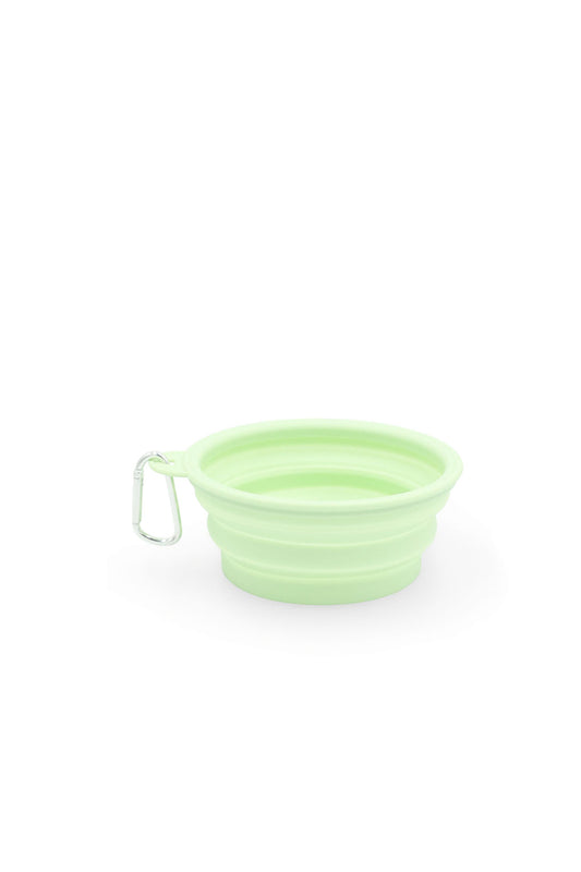 BudgetPaws Collapsible Silicone Travel Bowl (Green)
