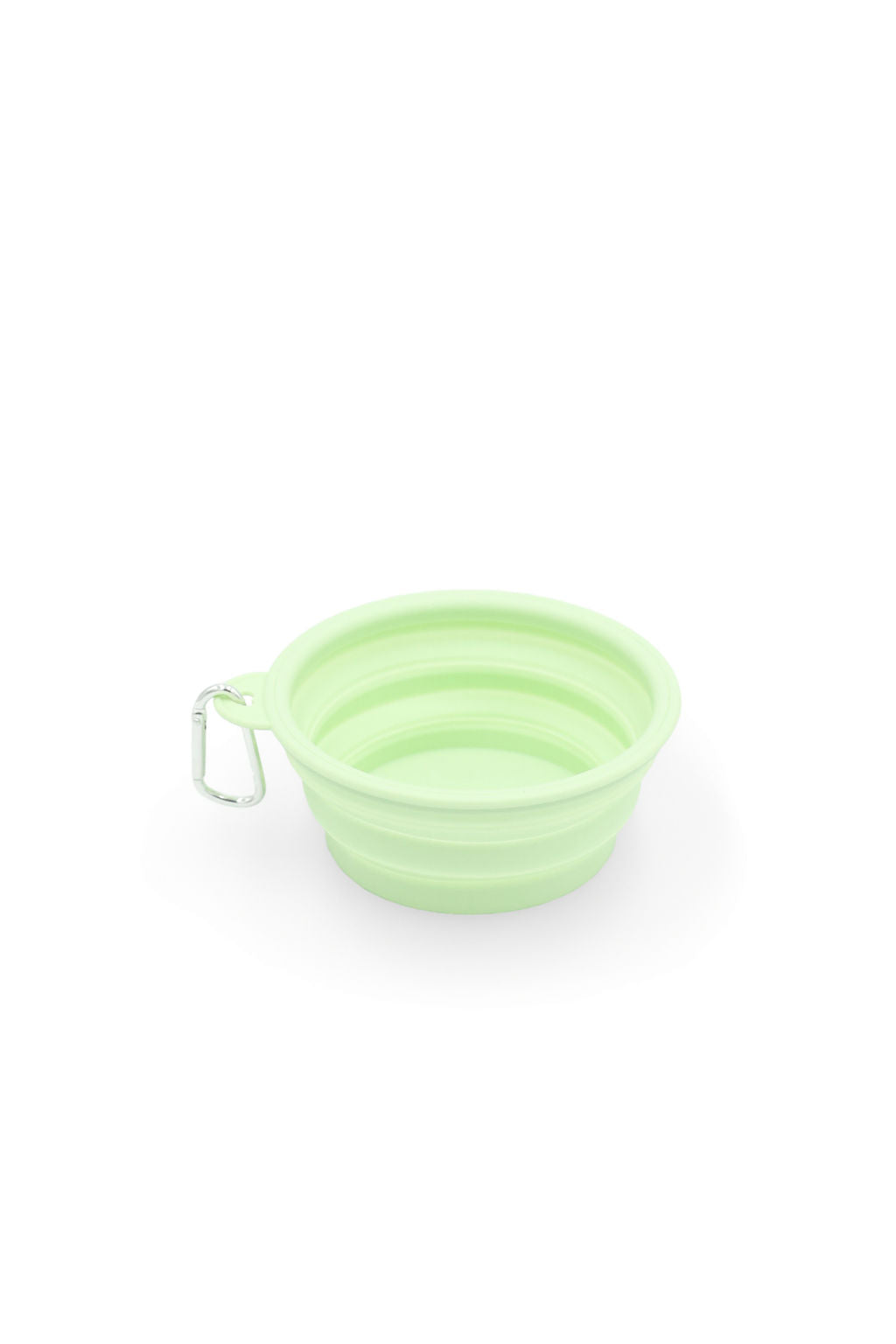 BudgetPaws Collapsible Silicone Travel Bowl (Green)