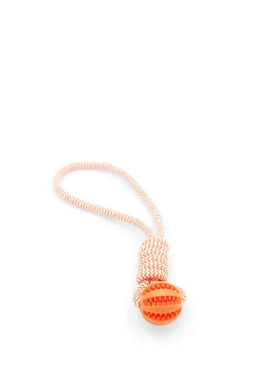 BudgetPaws Sunset Orange rubber rope tug dog toy in orange with textured rubber handle and woven rope loop, photographed on a white background.