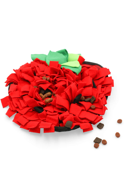BudgetPaws Strawberry Snuffle Mat in Wild Rose red color front view with treats.
