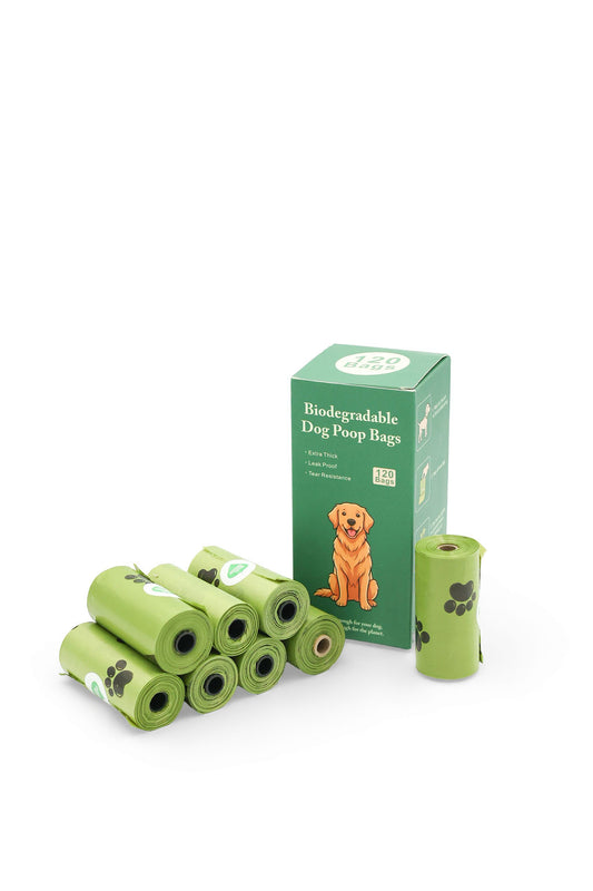 BudgetPaws Biodegradable Dog Waste Bags in Green 8-roll box for eco-friendly pet cleanup.