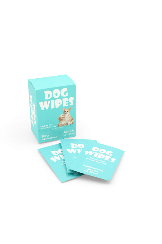 BudgetPaws Disposable Pet Wipes for Dogs pack showing easy-dispense resealable lid.