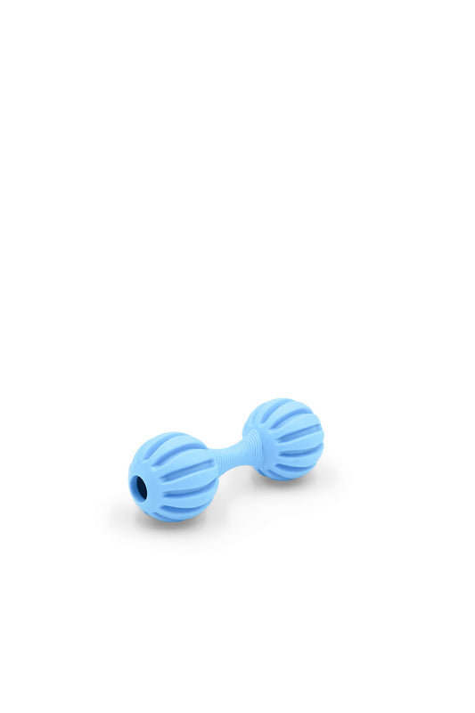 BudgetPaws Chime Barbell dog toy in Sky Breeze, photographed on a white background.