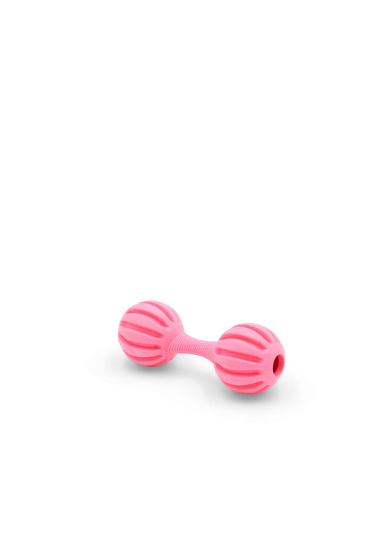 BudgetPaws Chime Barbell dog toy in Wild Hibiscus, photographed on a white background.