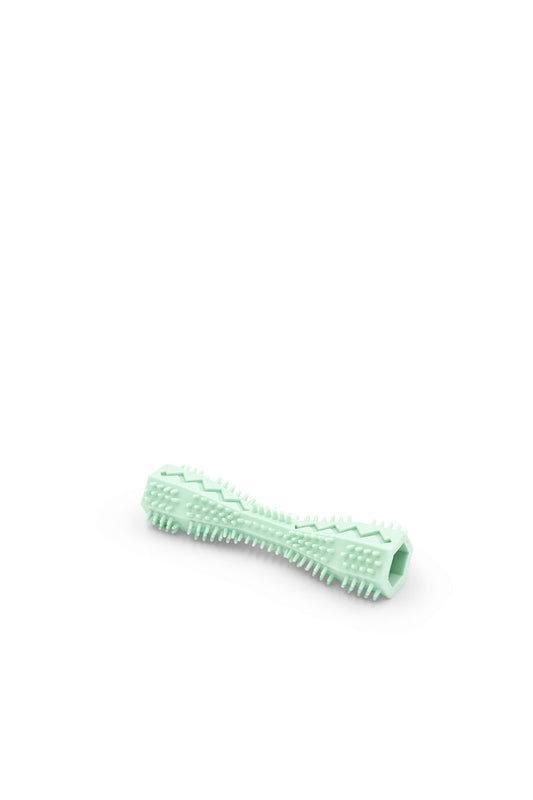 BudgetPaws Dog Toothbrush toy in Mint Dew, photographed on a white background.