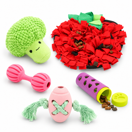 Budget Paws Girls’ Dog Toy Bundle | 5-Pack Plush, Chew & Enrichment Toys